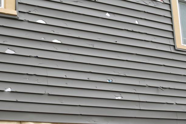 Best Siding Painting and Refinishing  in Hden Springs, ID